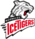 Nürnberg Ice Tigers-team-logo